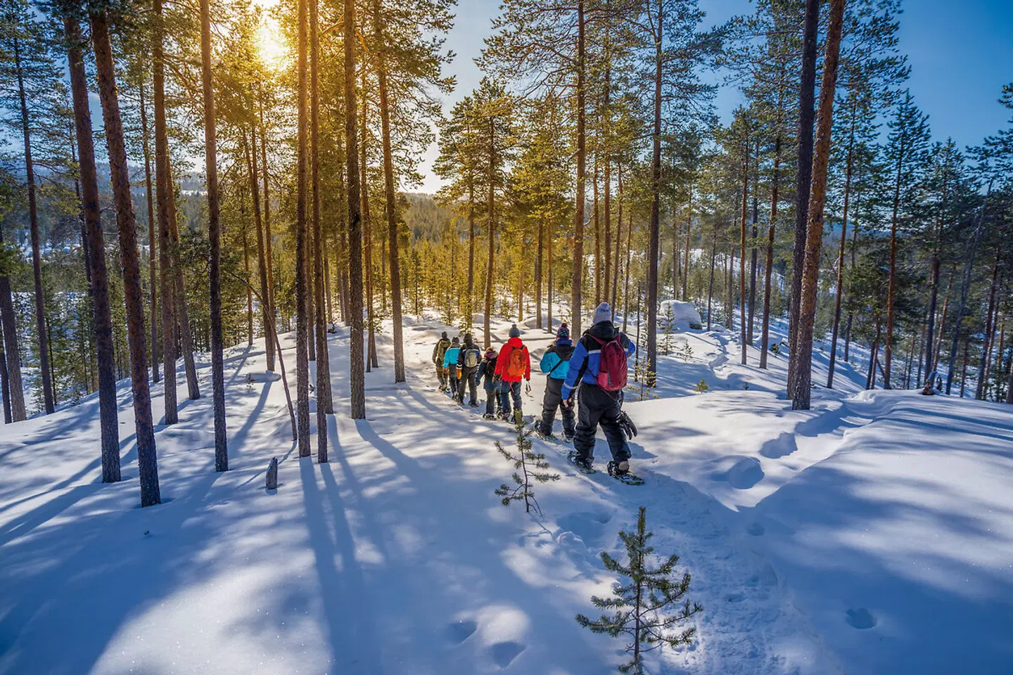 Lapplands magische Nächte - Muotka SPORTS_AND_LEISURE