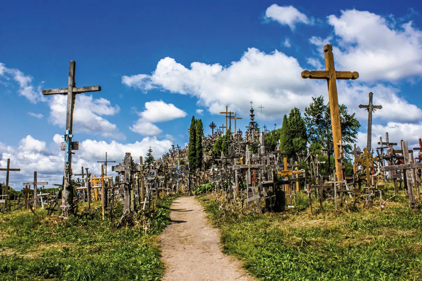 Baltikum kompakt Garten