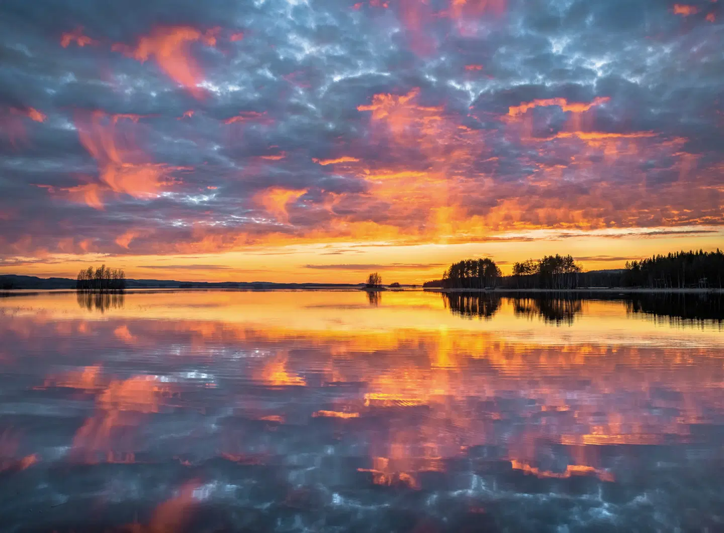 Lapplands Land & Leute Tiere