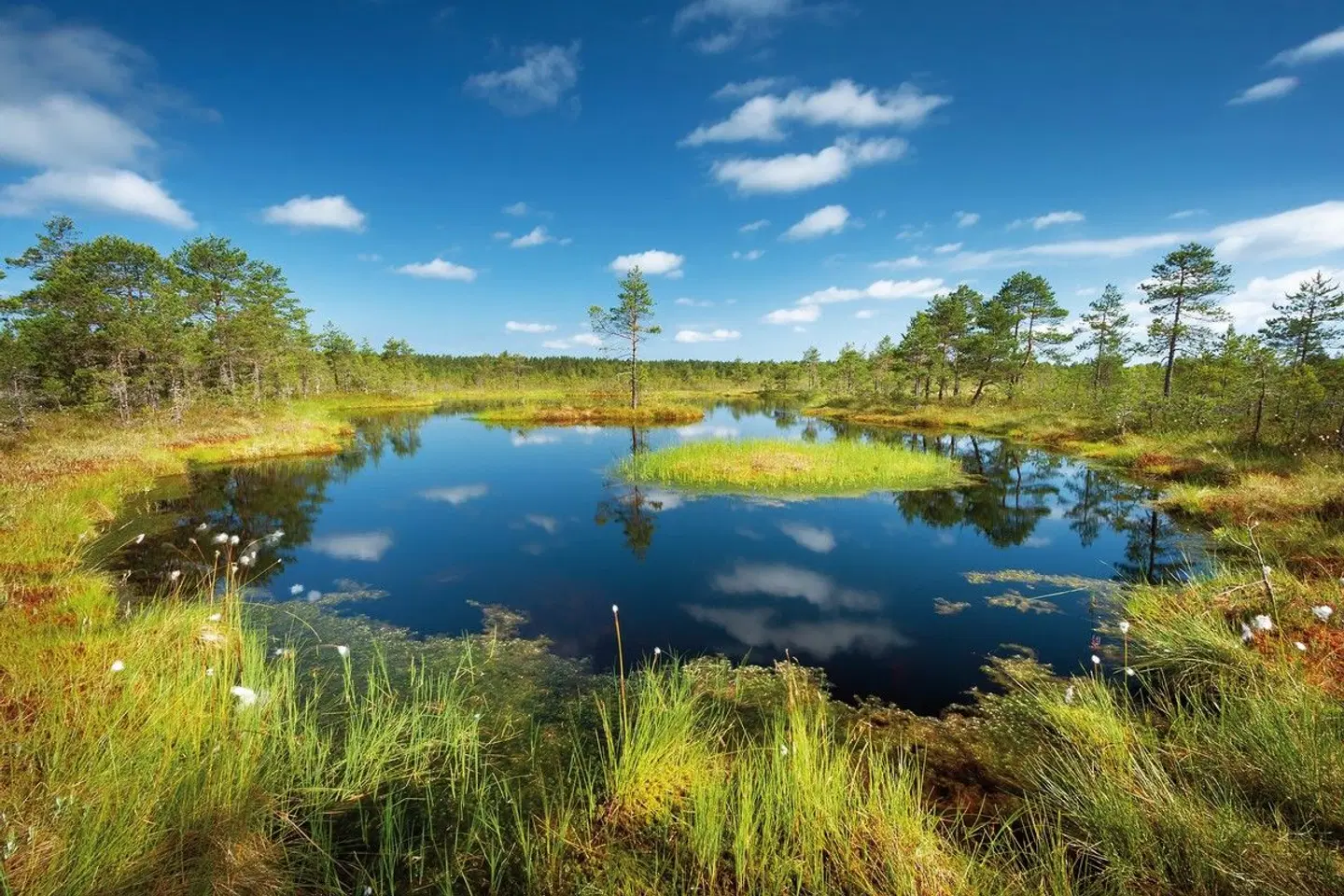Baltische Abenteuer LANDSCAPE