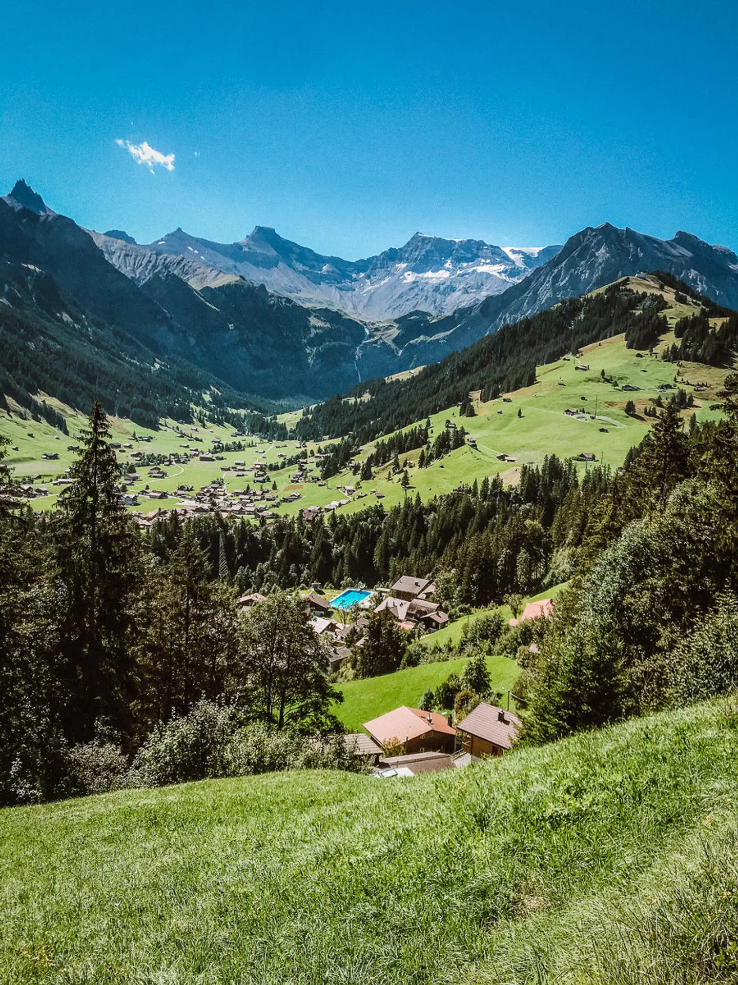 Alpenrose Adelboden Guest House LANDSCAPE