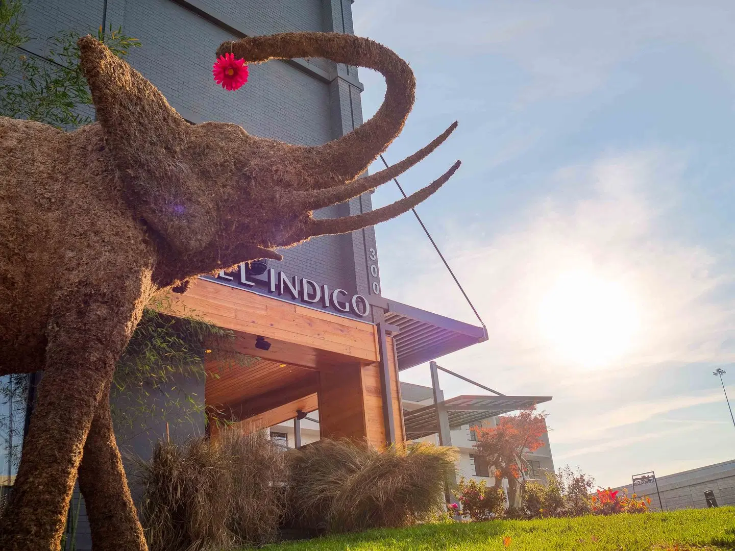 Hotel Indigo - Chattanooga - Downtown Tiere