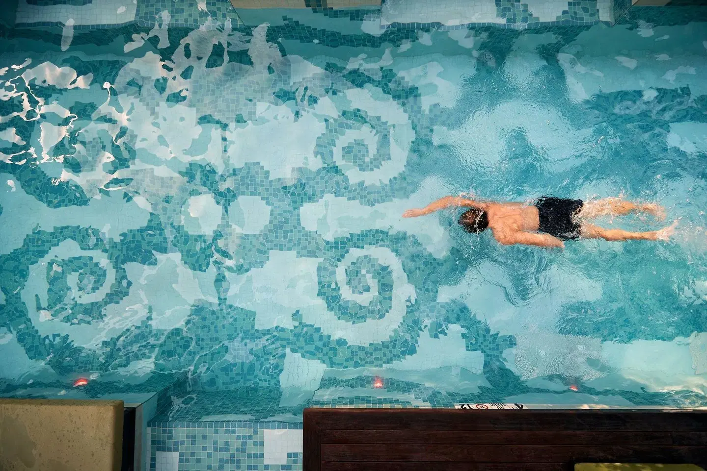 W Philadelphia Tiere