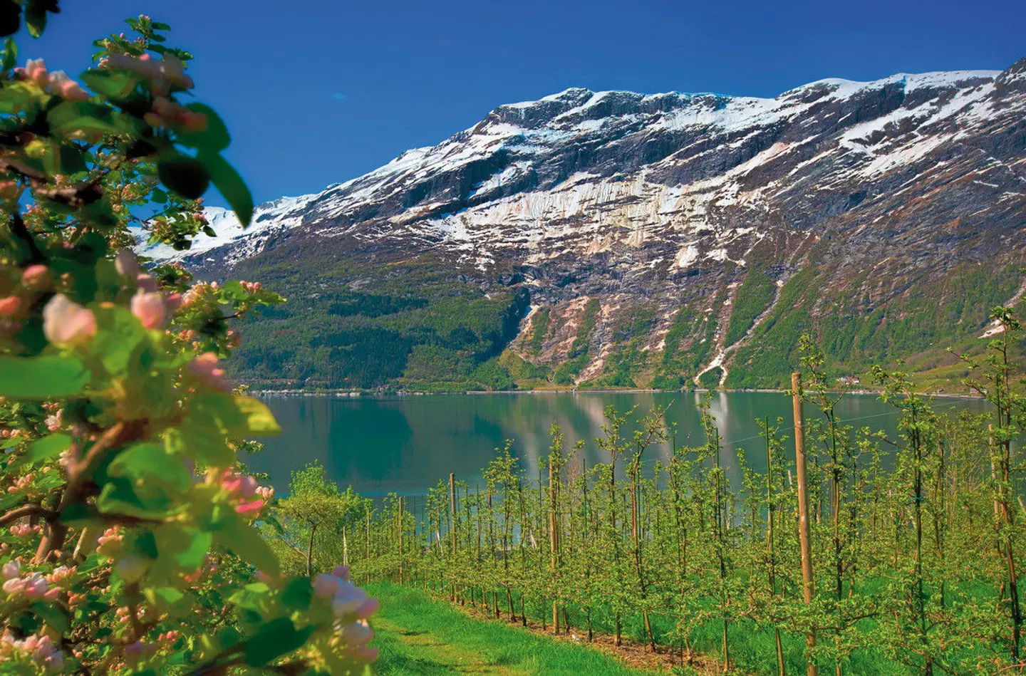 Norwegens Naturschauspiele erleben LANDSCAPE