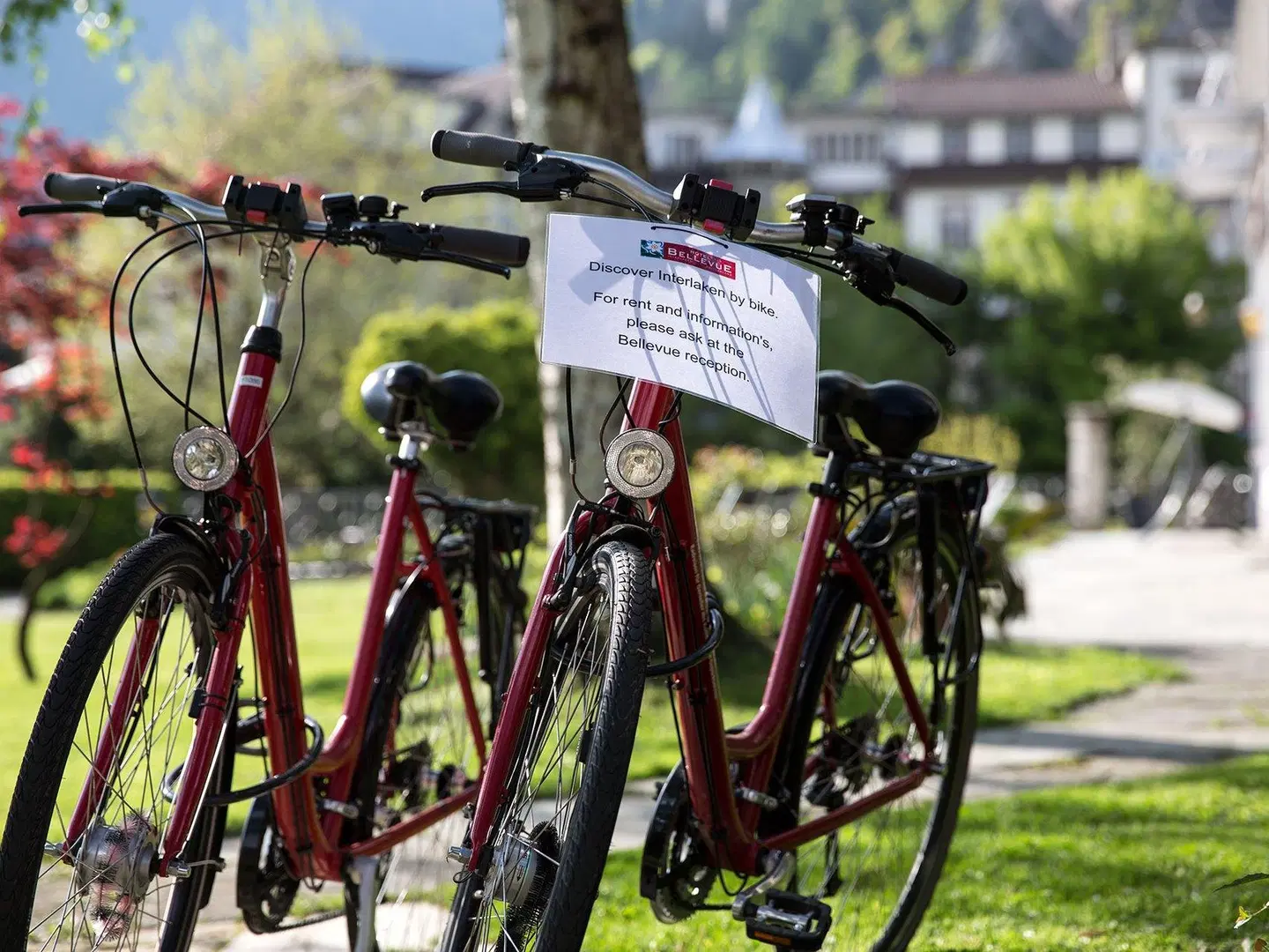 Bellevue SPORTS_AND_LEISURE