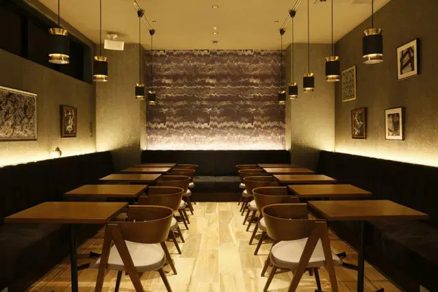 ibis Osaka Umeda Konferenz