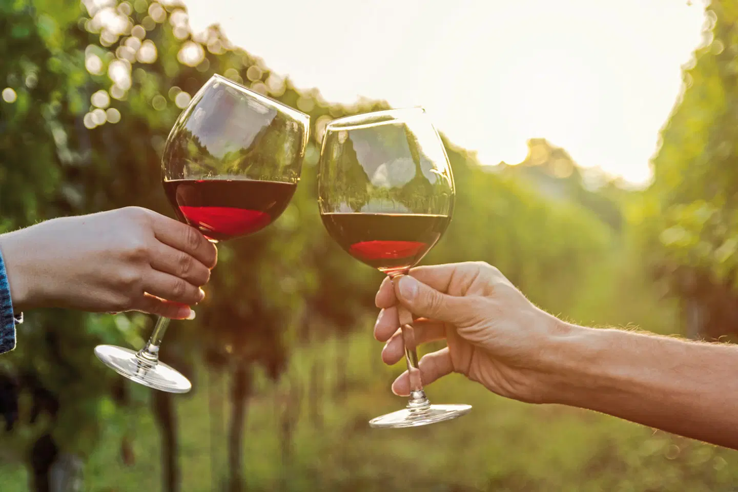 Kleingruppenreise Kalifornien entdecken HEALTH_BEAUTY