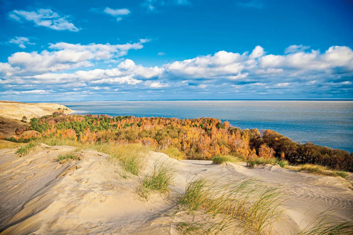 Baltisches Kaleidoskop (ab Klaipeda) LANDSCAPE