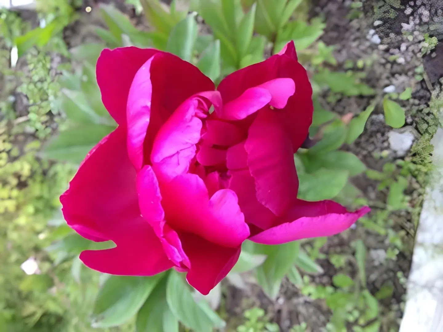 Halcyon Heights B&B/Inn SPORTS_AND_LEISURE