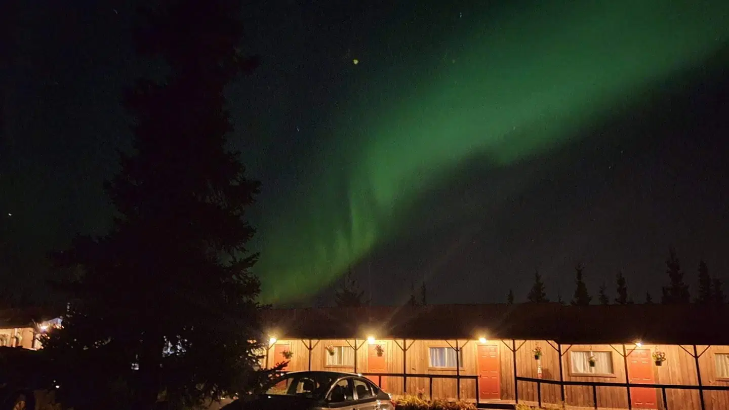 White Moose Lodge Bar