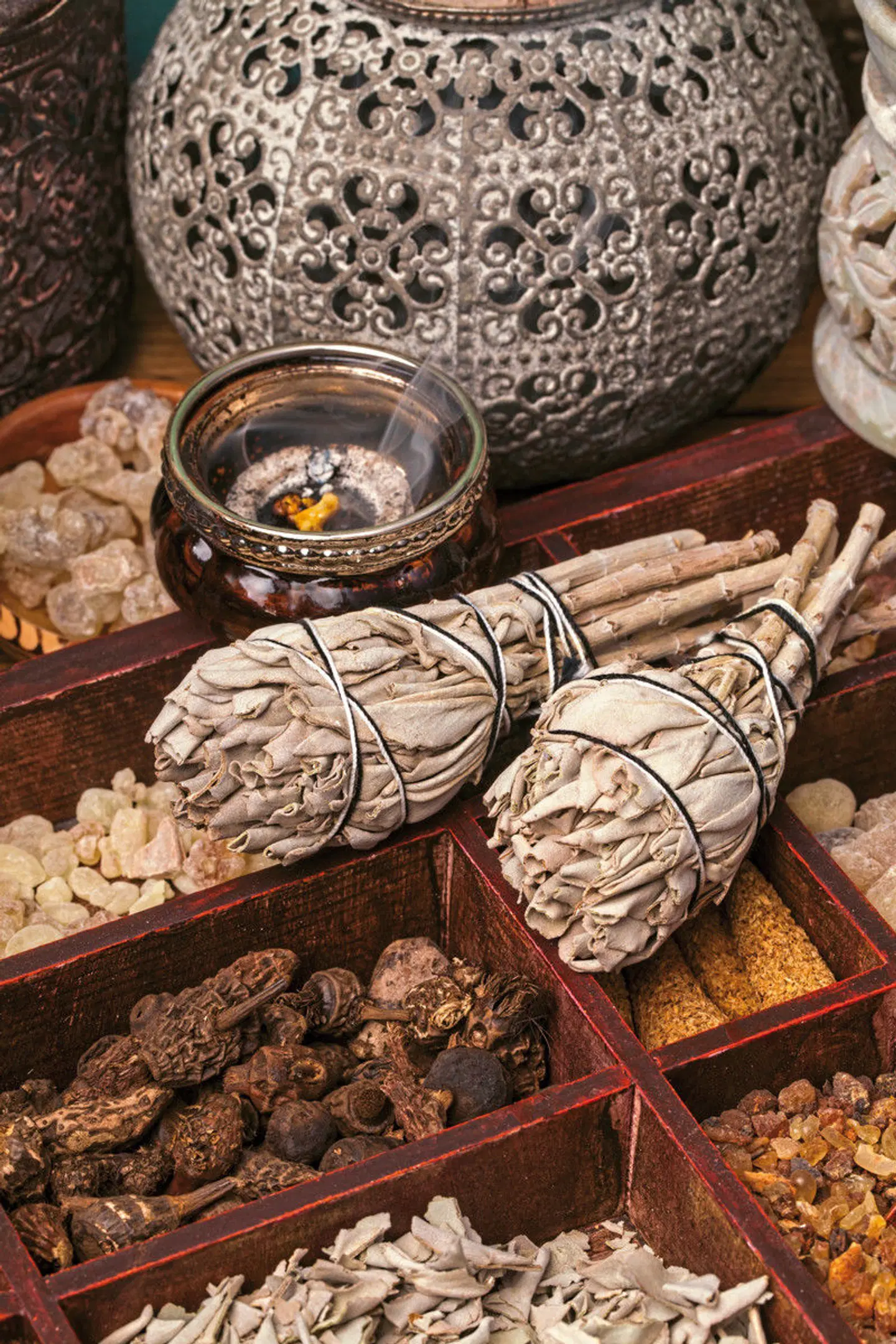 Die Weihrauchstraße - Der Duft des Orients Tiere