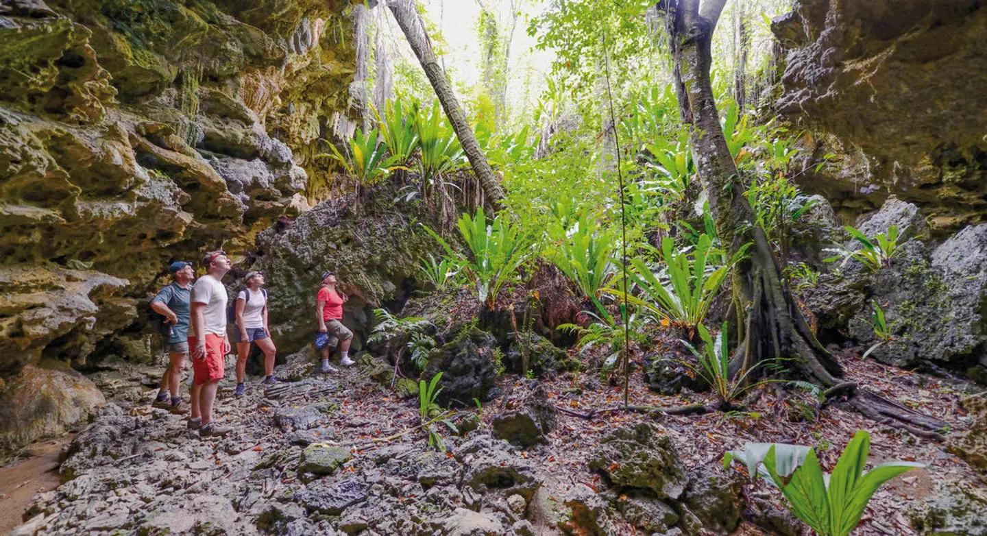 Erlebnis Cook Islands LANDSCAPE