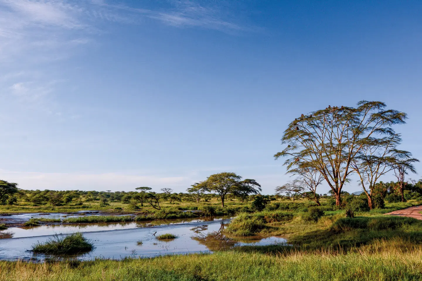 Tansania Explorer LANDSCAPE