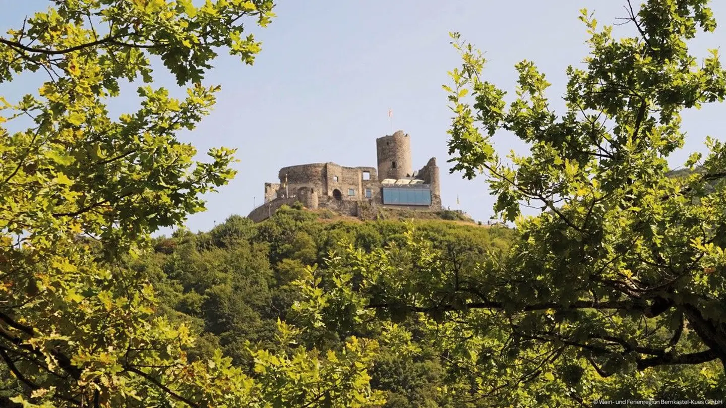 JUFA Hotel Bernkastel-Kues LANDSCAPE