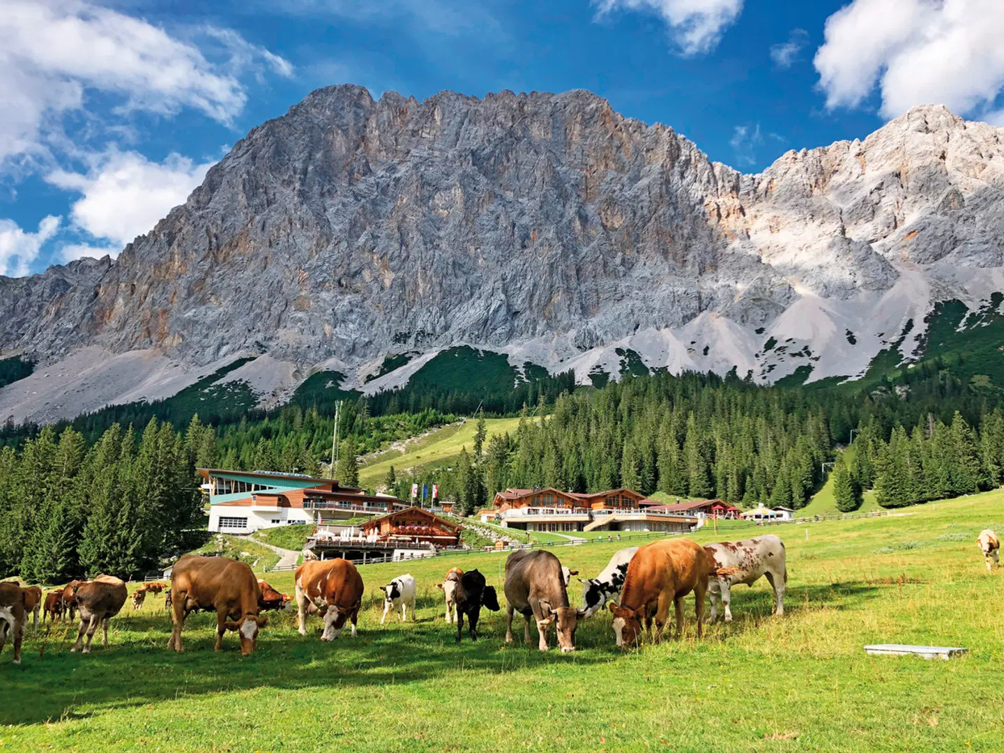 Rund um die Zugspitze Tiere