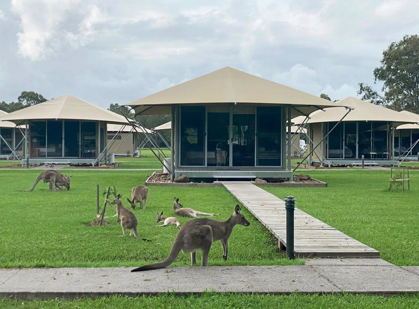 Ostküste & Trauminseln Tiere