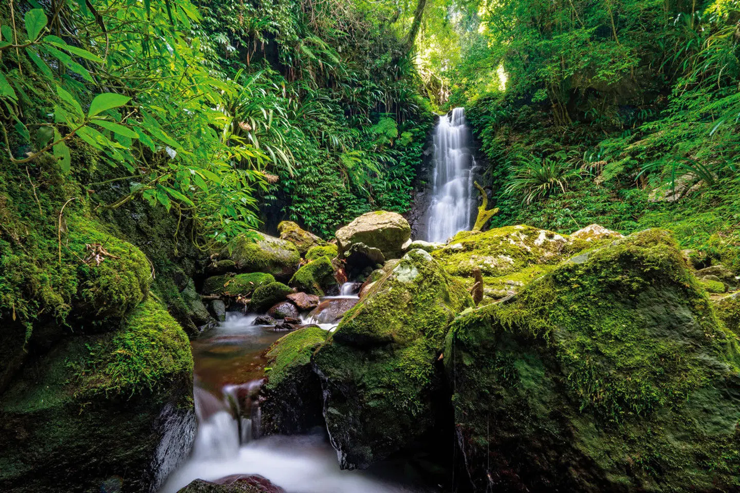 Ostküste & Trauminseln Garten