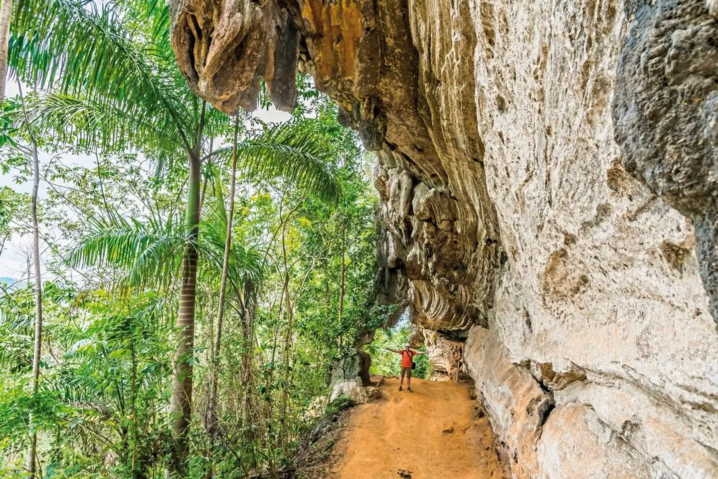 Große Kuba Rundreise Garten