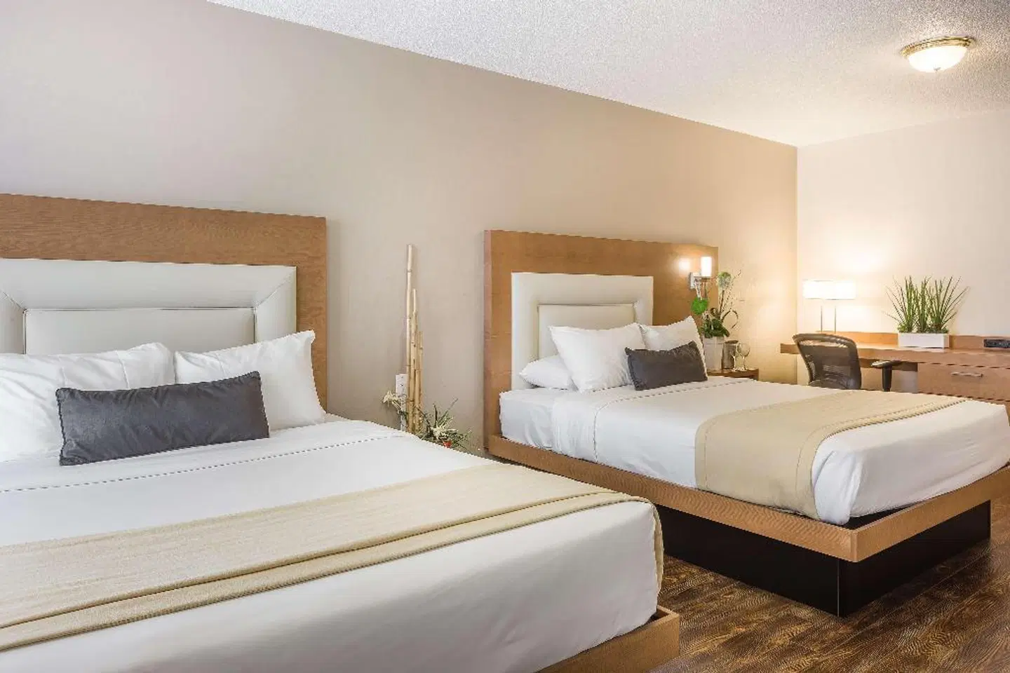 Universel ROOM_EXAMPLE