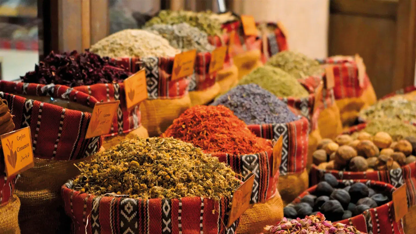 Glanzvolle Königsstädte (ab/bis Marrakesch) Tiere