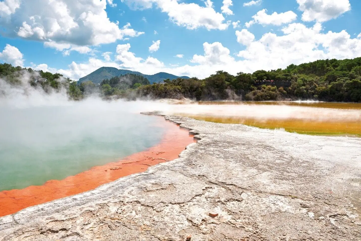Zwischen Fjorden, Vulkanen & Küsten - Neuseeland entdecken Strand