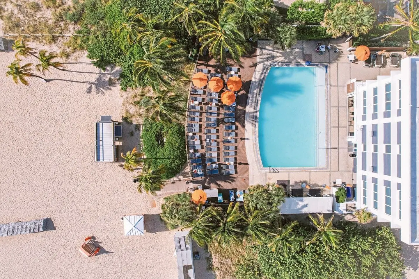 B Ocean Fort Lauderdale Garten