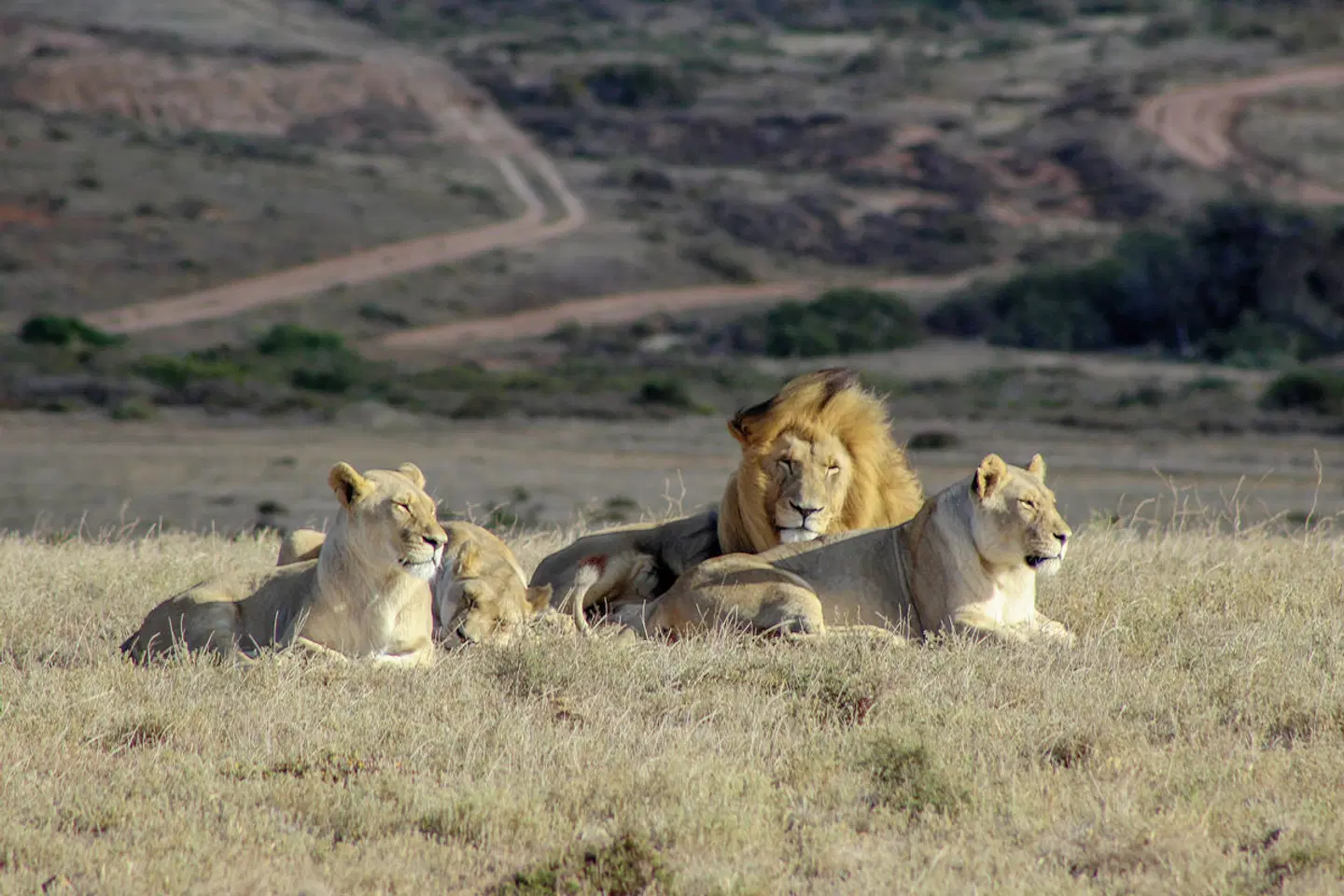 Facettenreiche Gartenroute - Privatreise Tiere