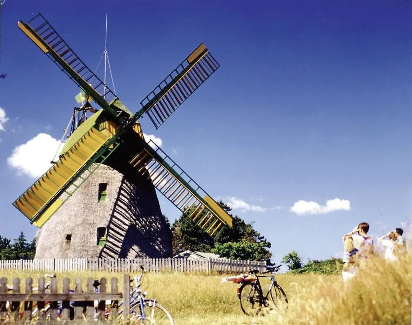 Inselhopping Nordfriesland Tiere