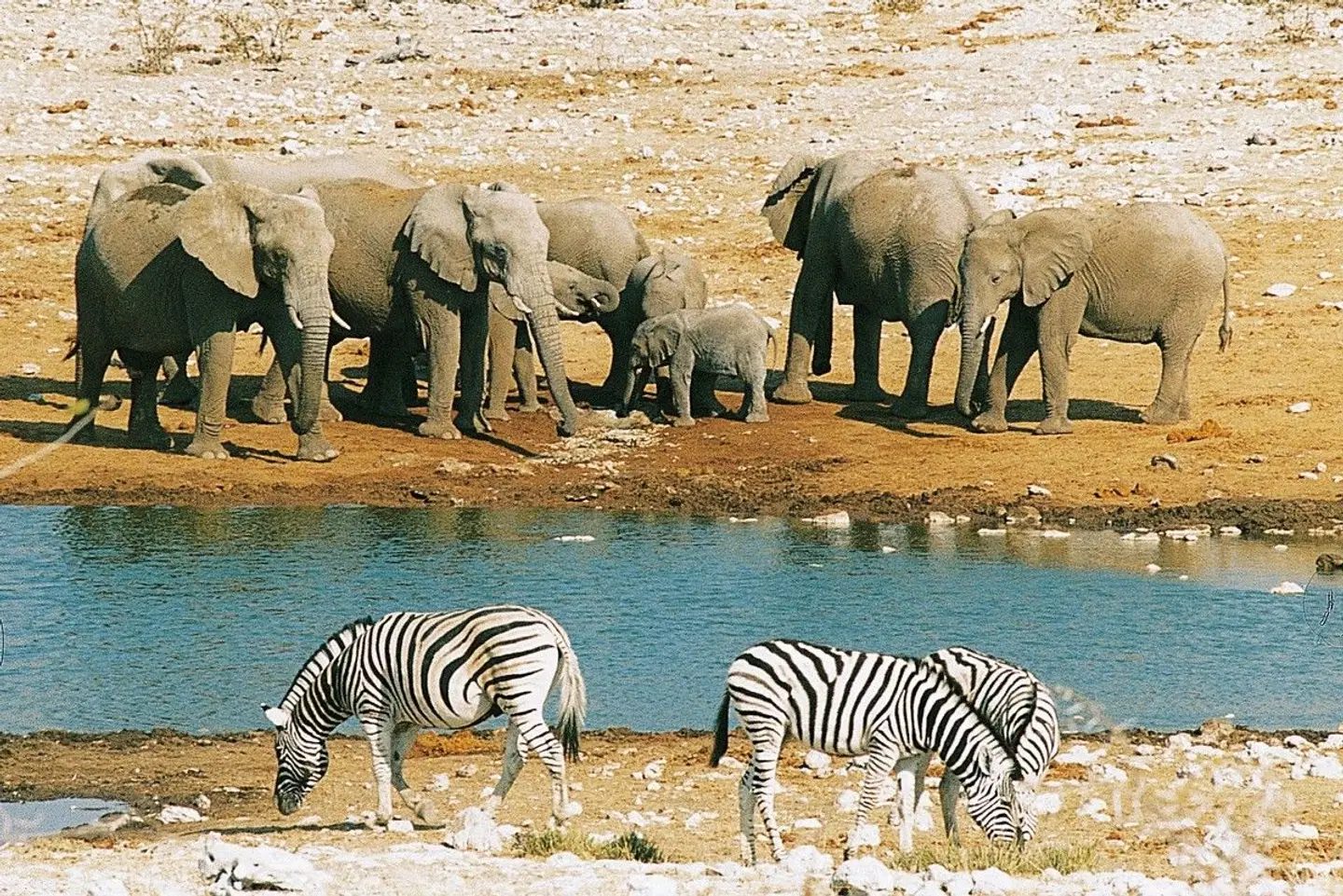Namibia Classic für Selbstfahrer Tiere