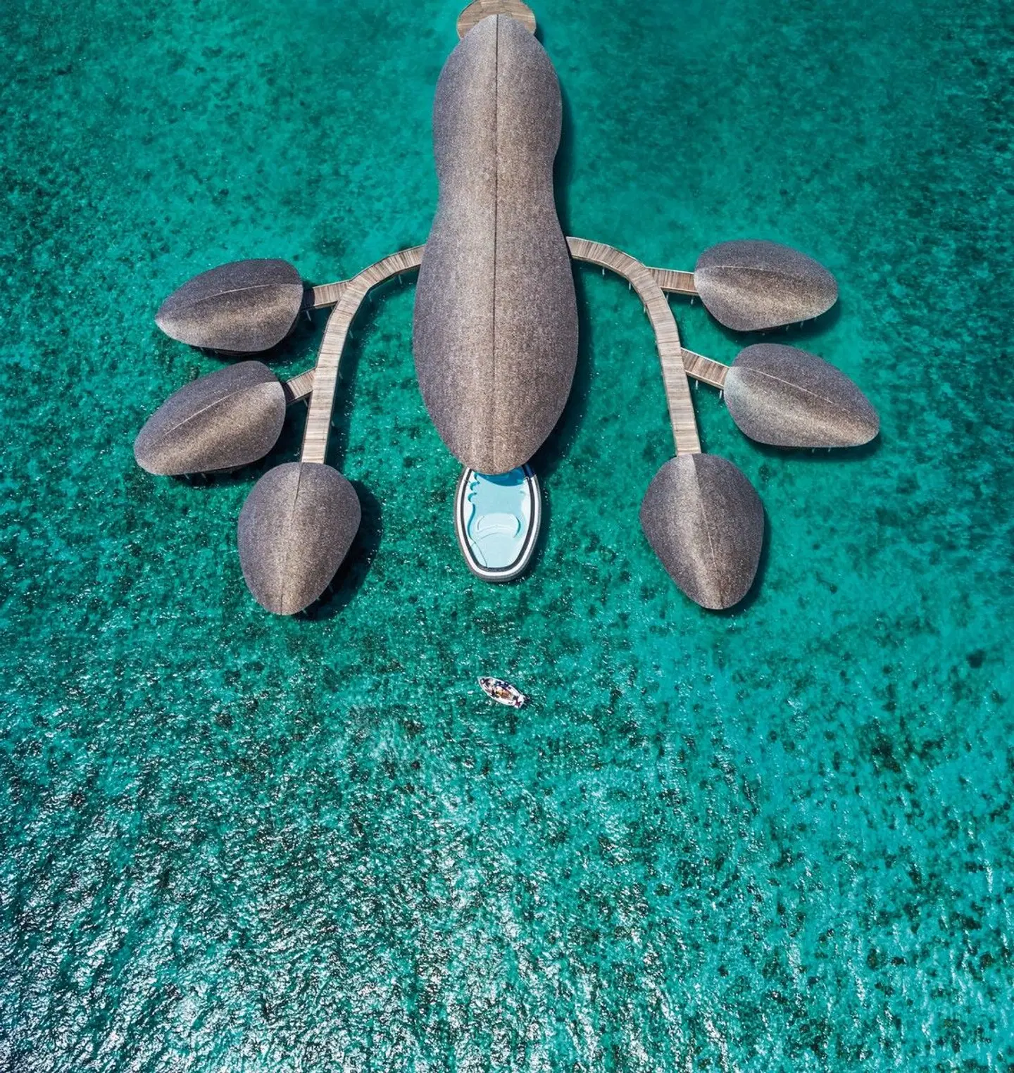 The St. Regis Maldives Vommuli Resort Tiere