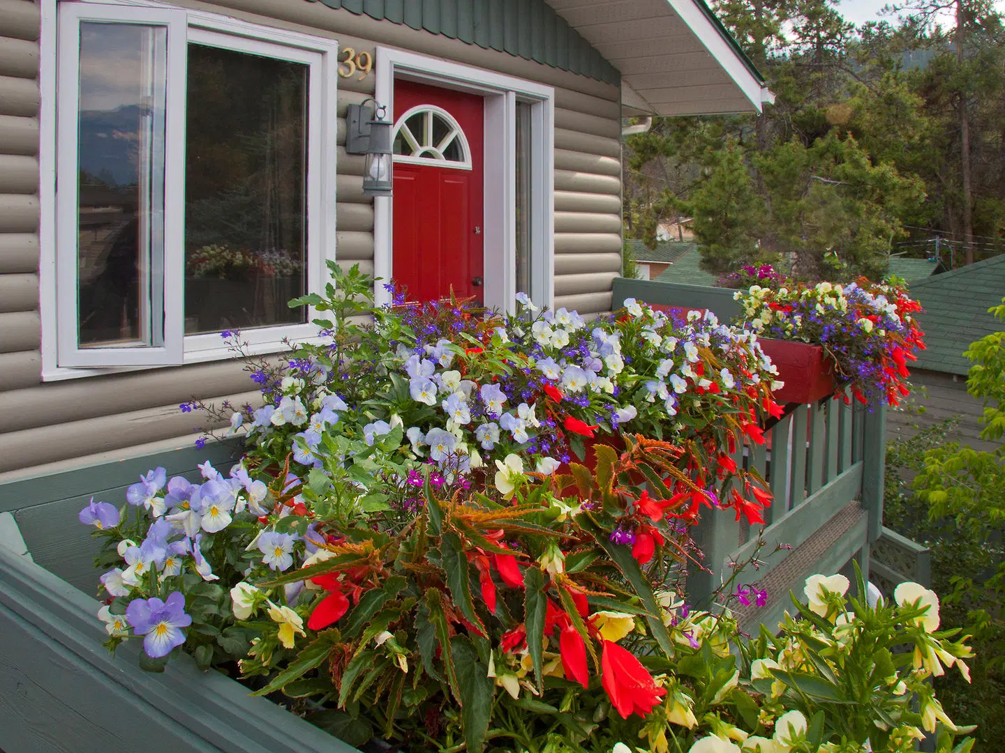 Bear Hill Lodge EXTERIOR