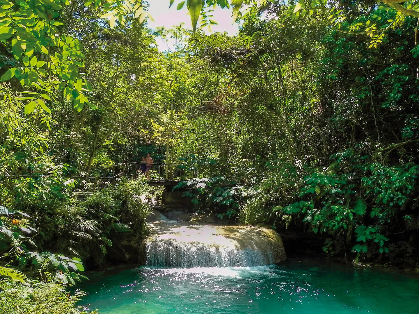La Vida Cubana Garten
