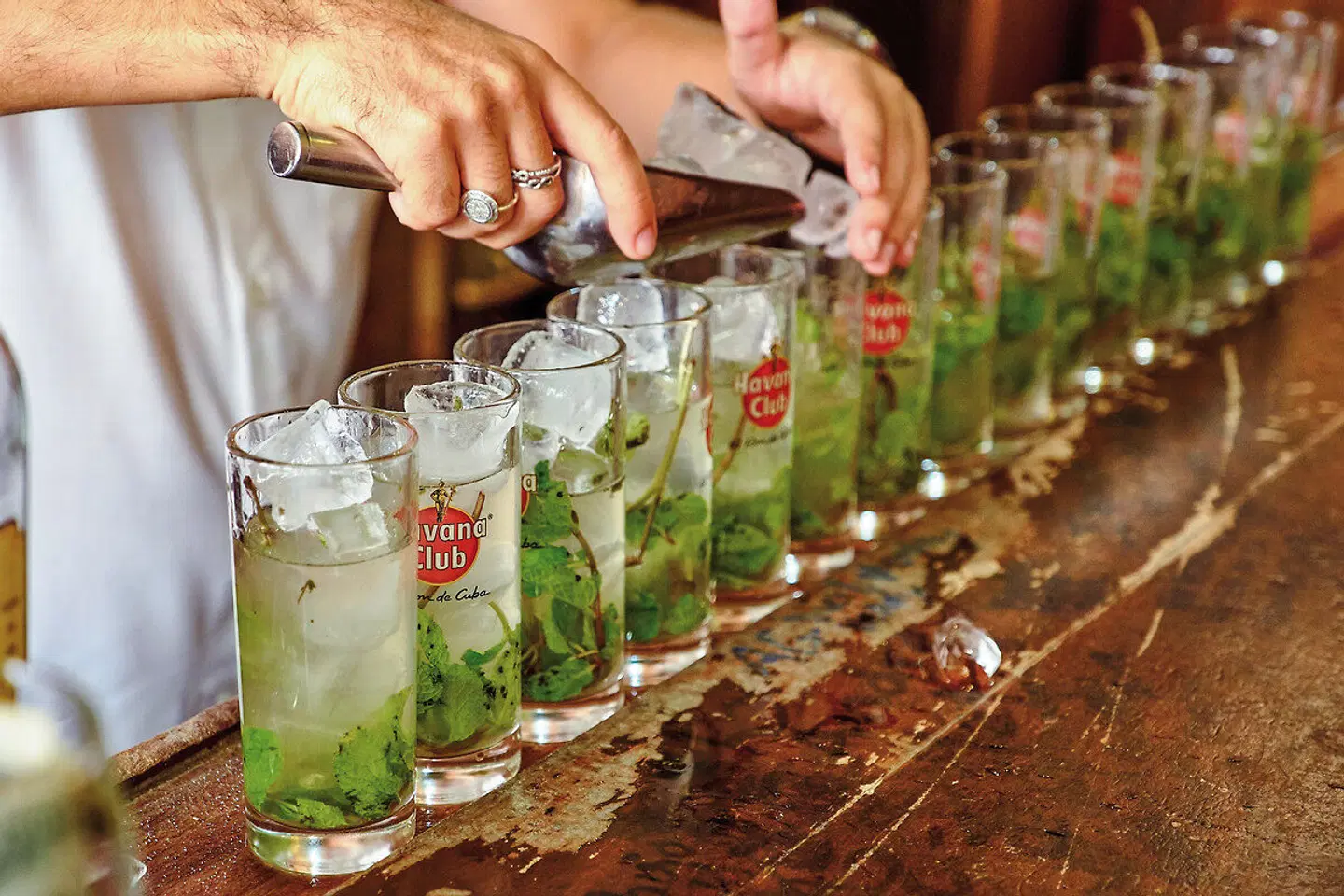 La Vida Cubana PEOPLE