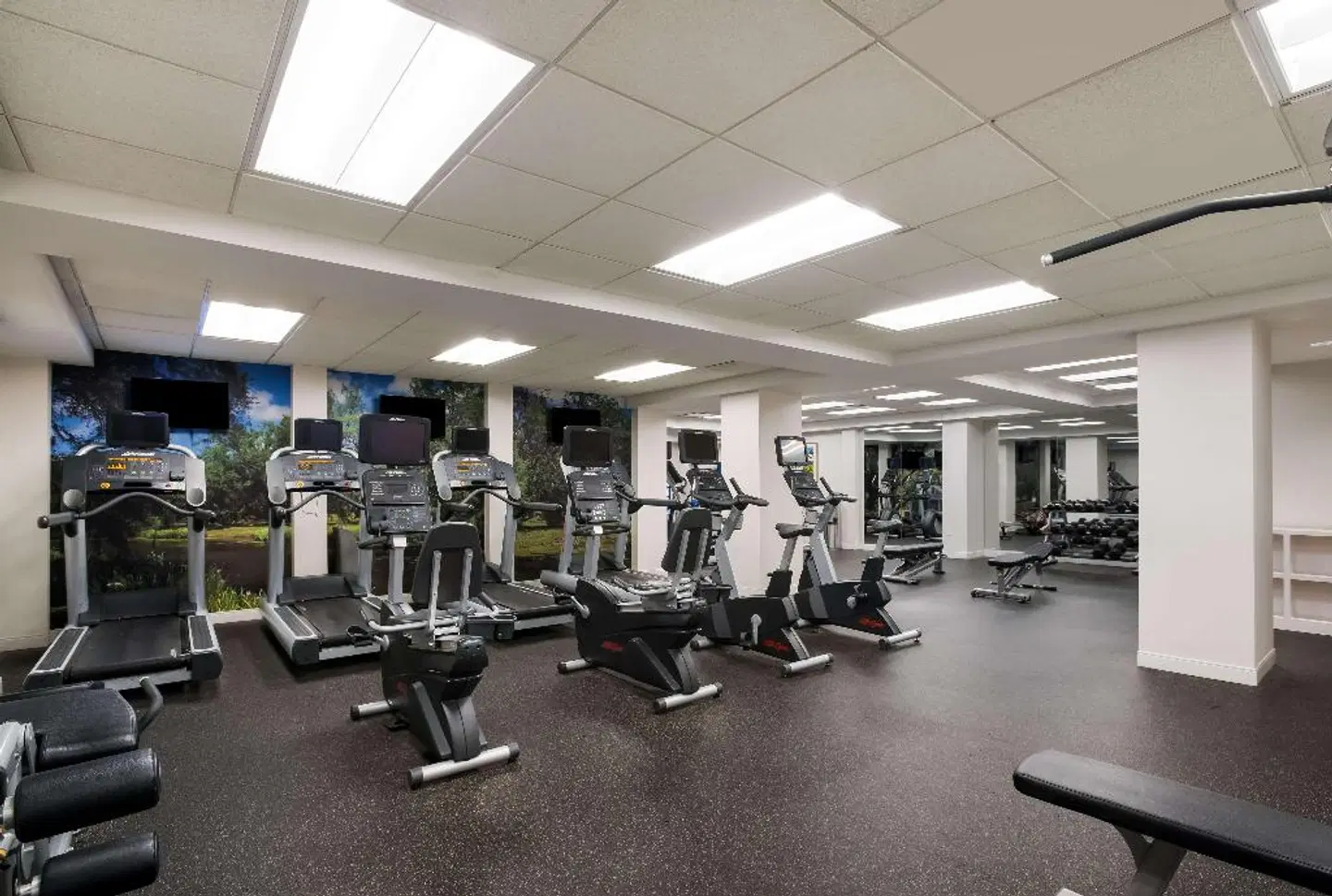 Royal Sonesta Hotel New Orleans SPORTS_AND_LEISURE