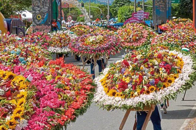 Kolumbien hautnah erleben Tiere
