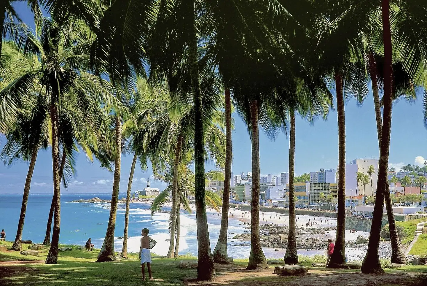 Höhepunkte Brasiliens Garten