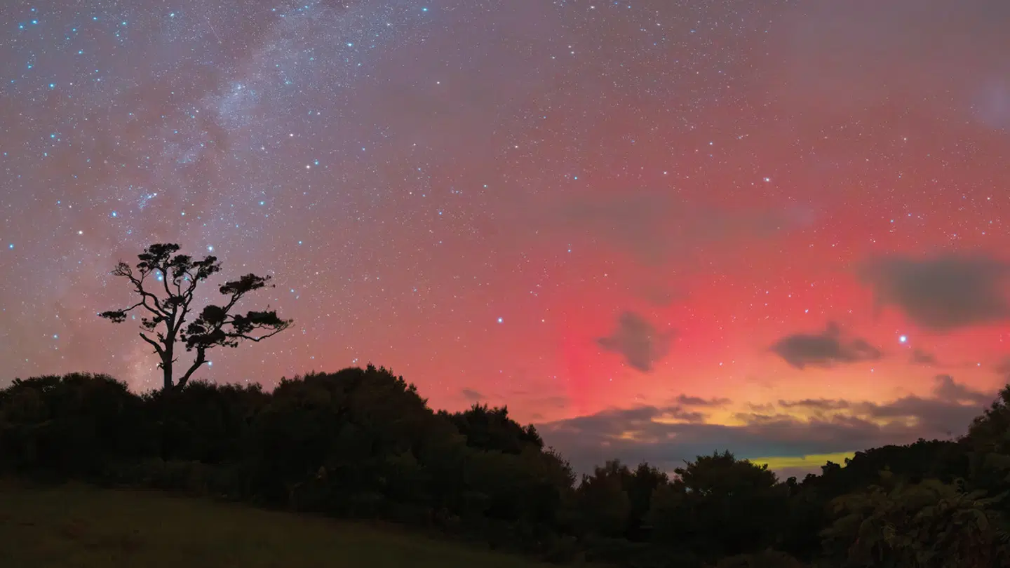 Hananui PurePod LANDSCAPE