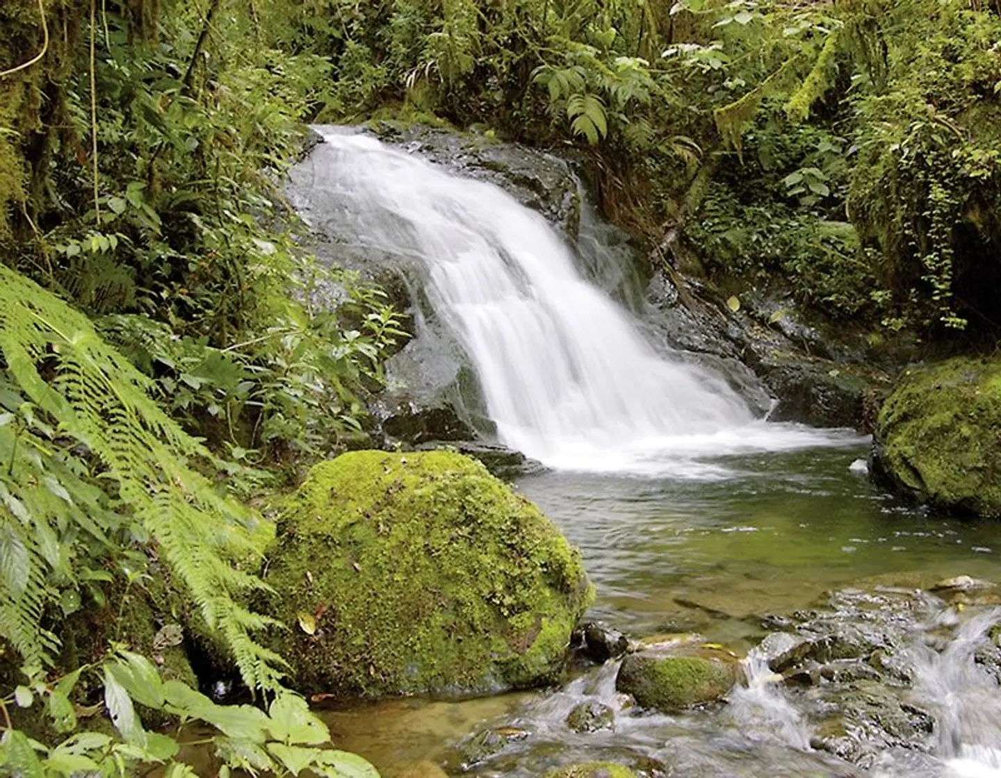 Best of Panama LANDSCAPE