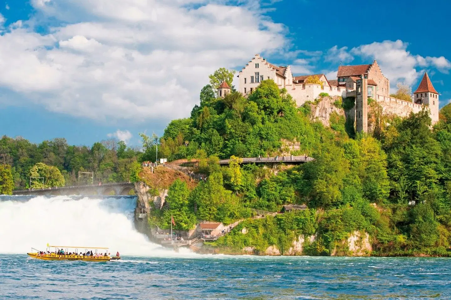 Bodensee-Radweg Klassisch LANDSCAPE