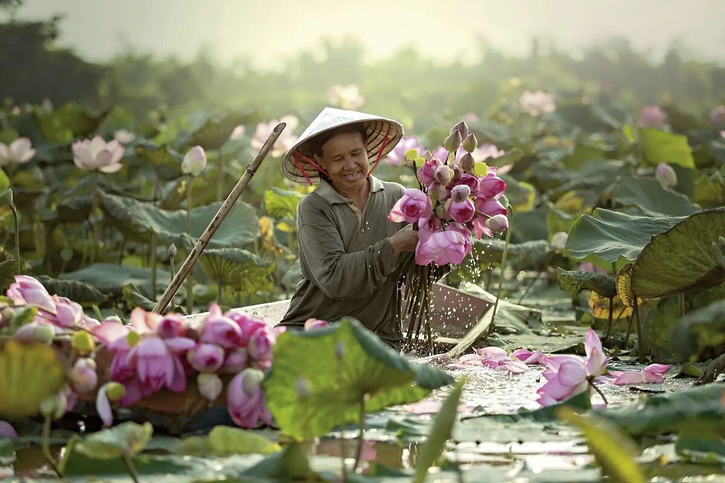 Die Gesichter Vietnams - Vom Norden bis nach Zentralvietnam LANDSCAPE