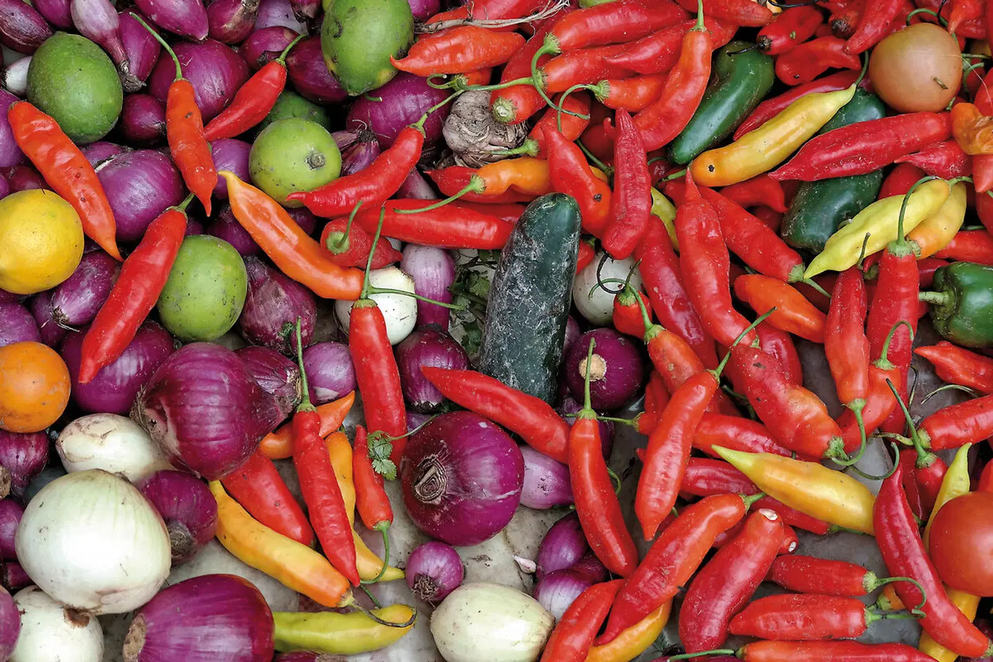 Farbenfrohes Ecuador Intensiv SPORTS_AND_LEISURE