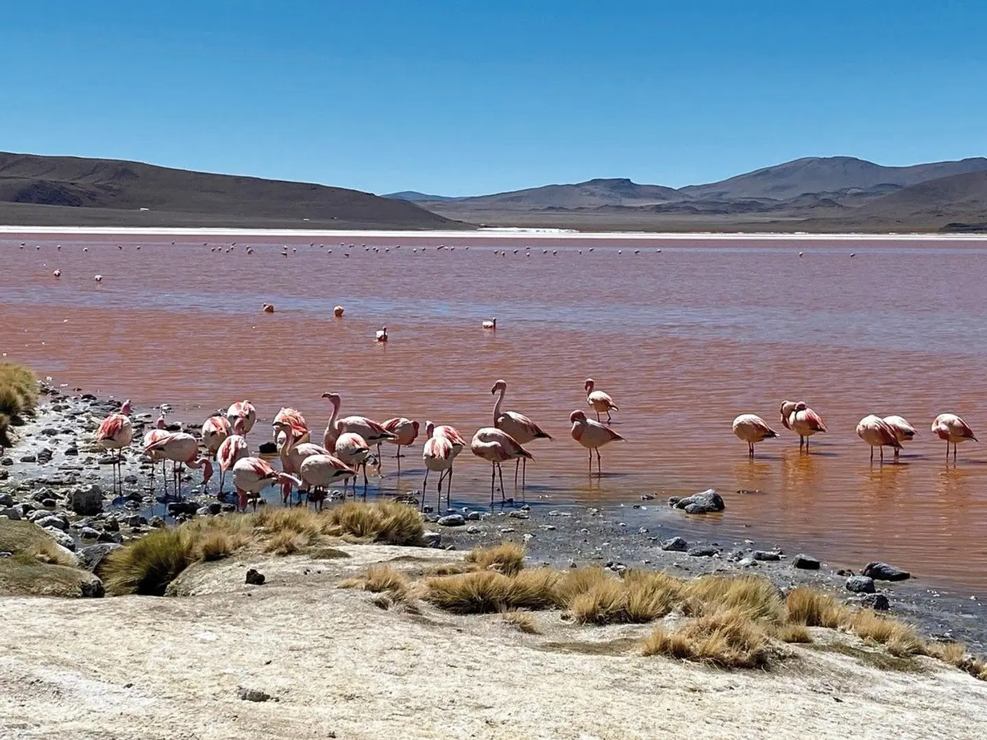Naturwunder Altiplano & das Erbe der Inka Strand