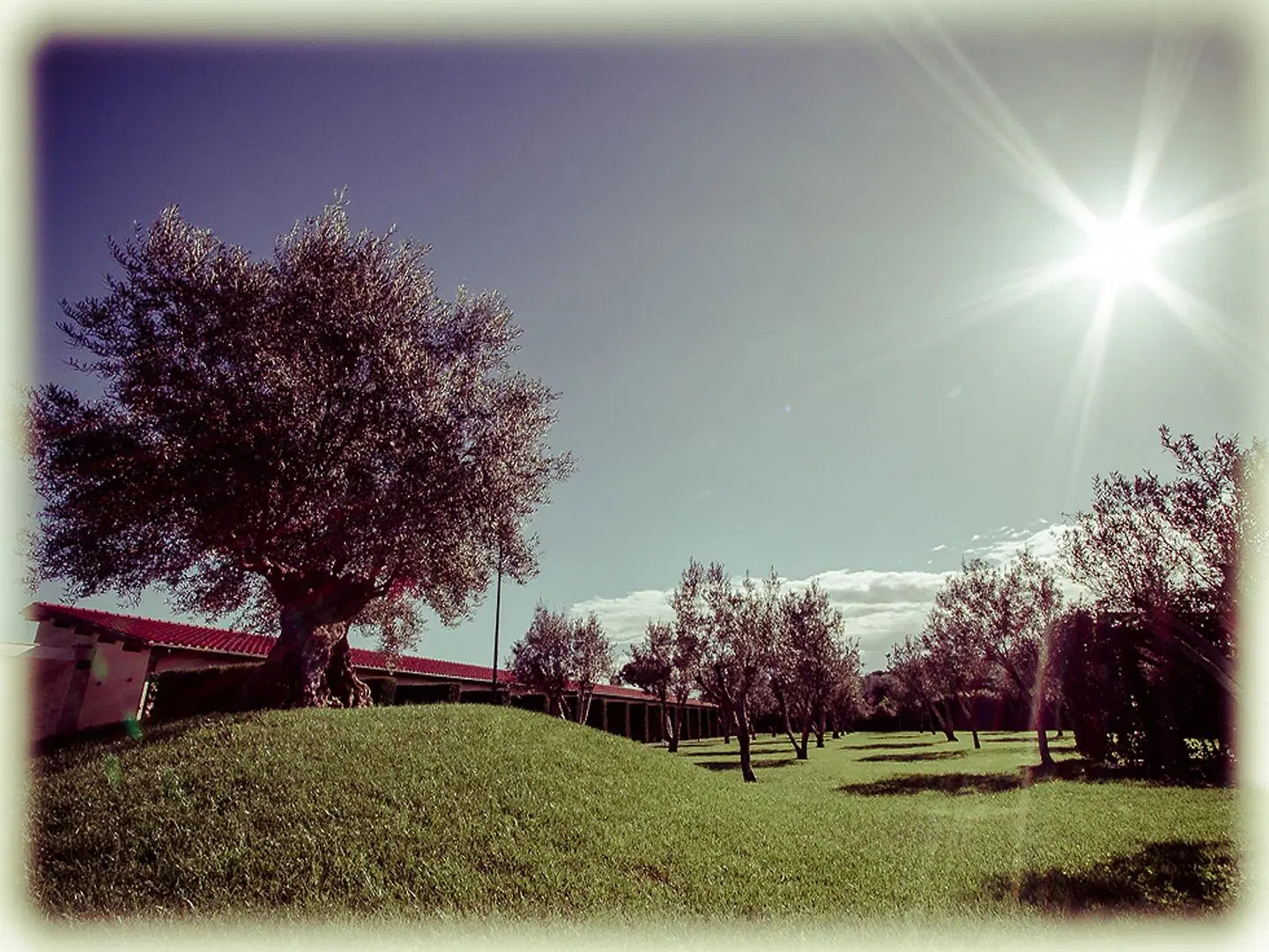 All Ways Garden Hotel & Leisure Garten