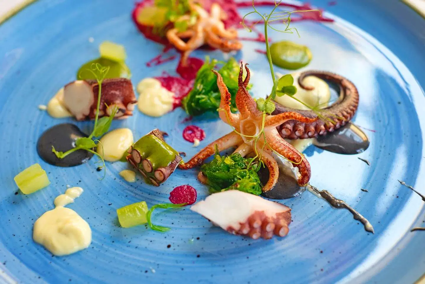 Cugó Gran Macina Grand Harbour SPORTS_AND_LEISURE