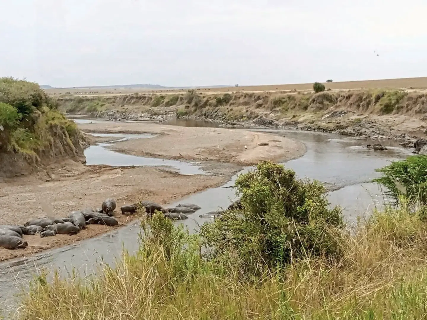 Drifters - Kenia & Tansania Explorer LANDSCAPE