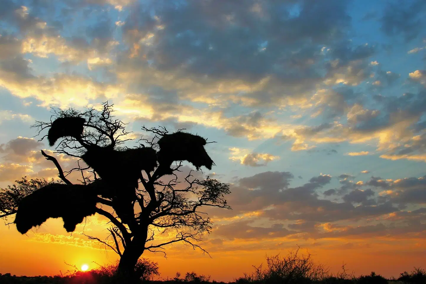Namibia für Einsteiger LANDSCAPE