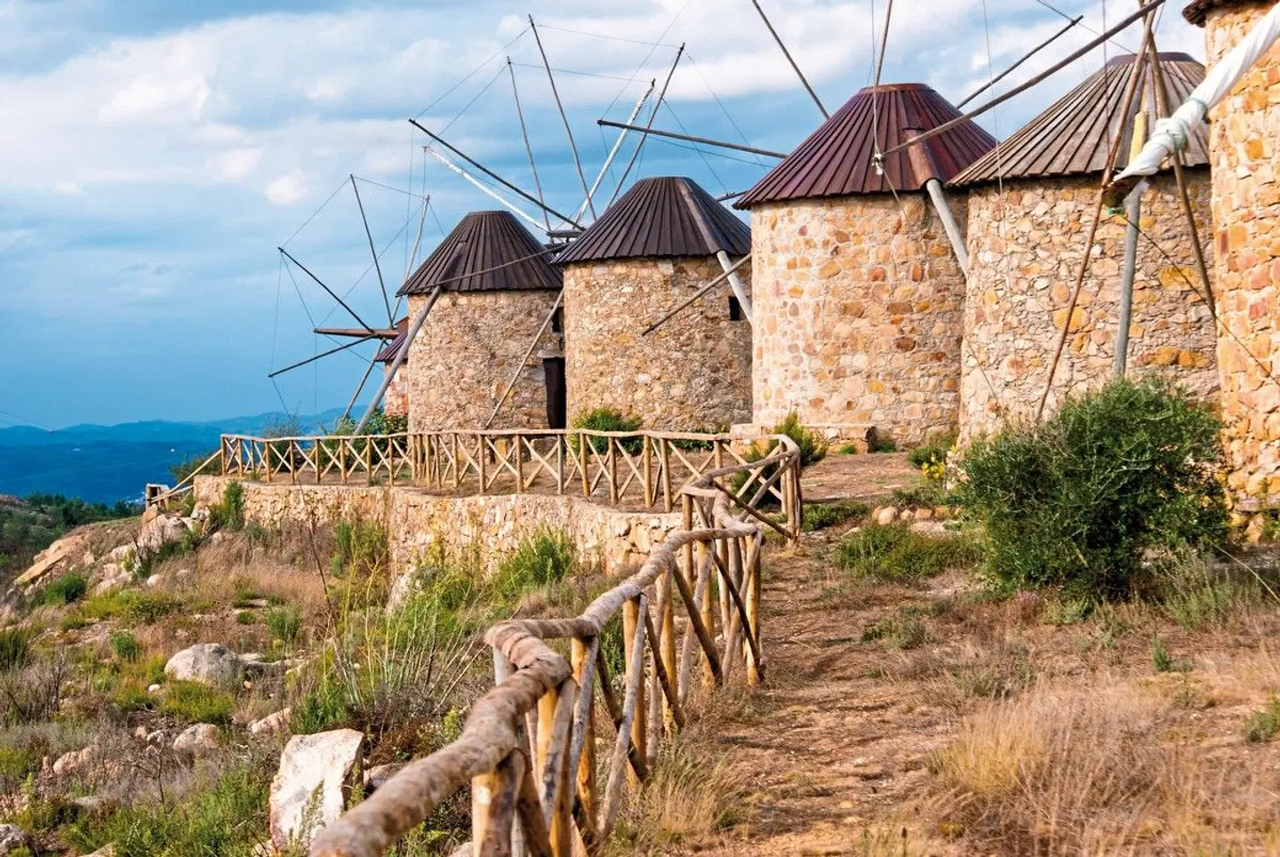 Das Beste von Portugal Tiere