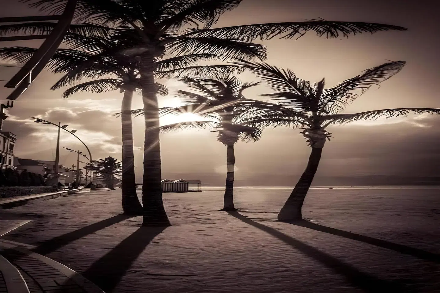 Hotel MG Poniente LANDSCAPE