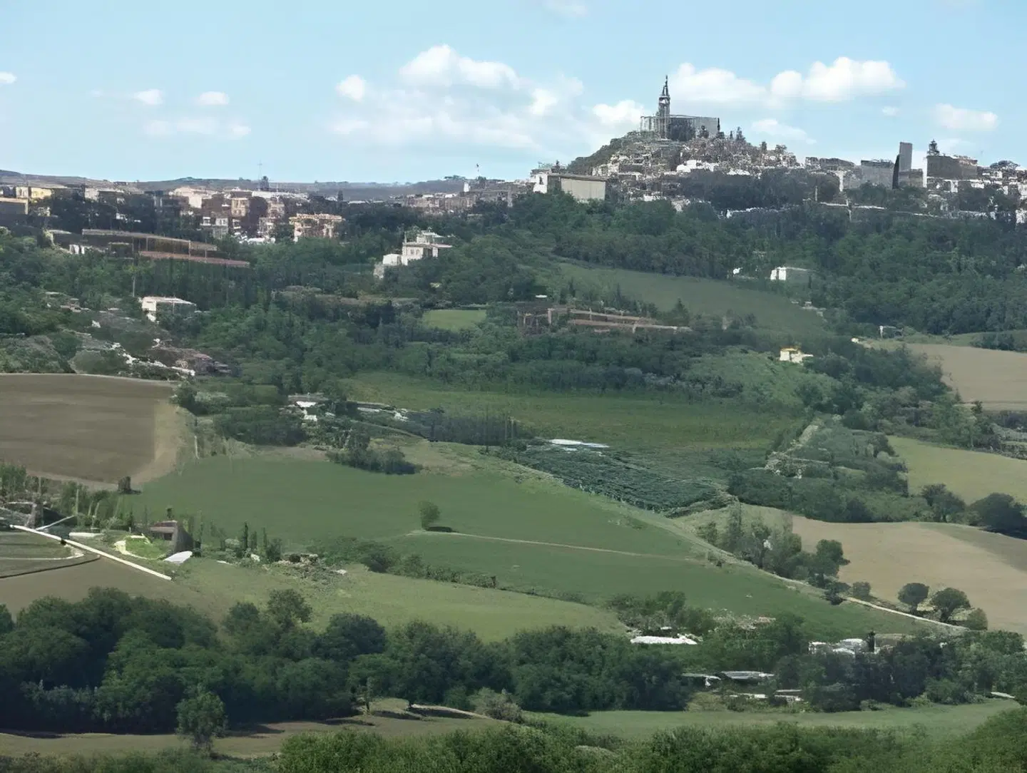 Roccafiore Spa & Resort LANDSCAPE