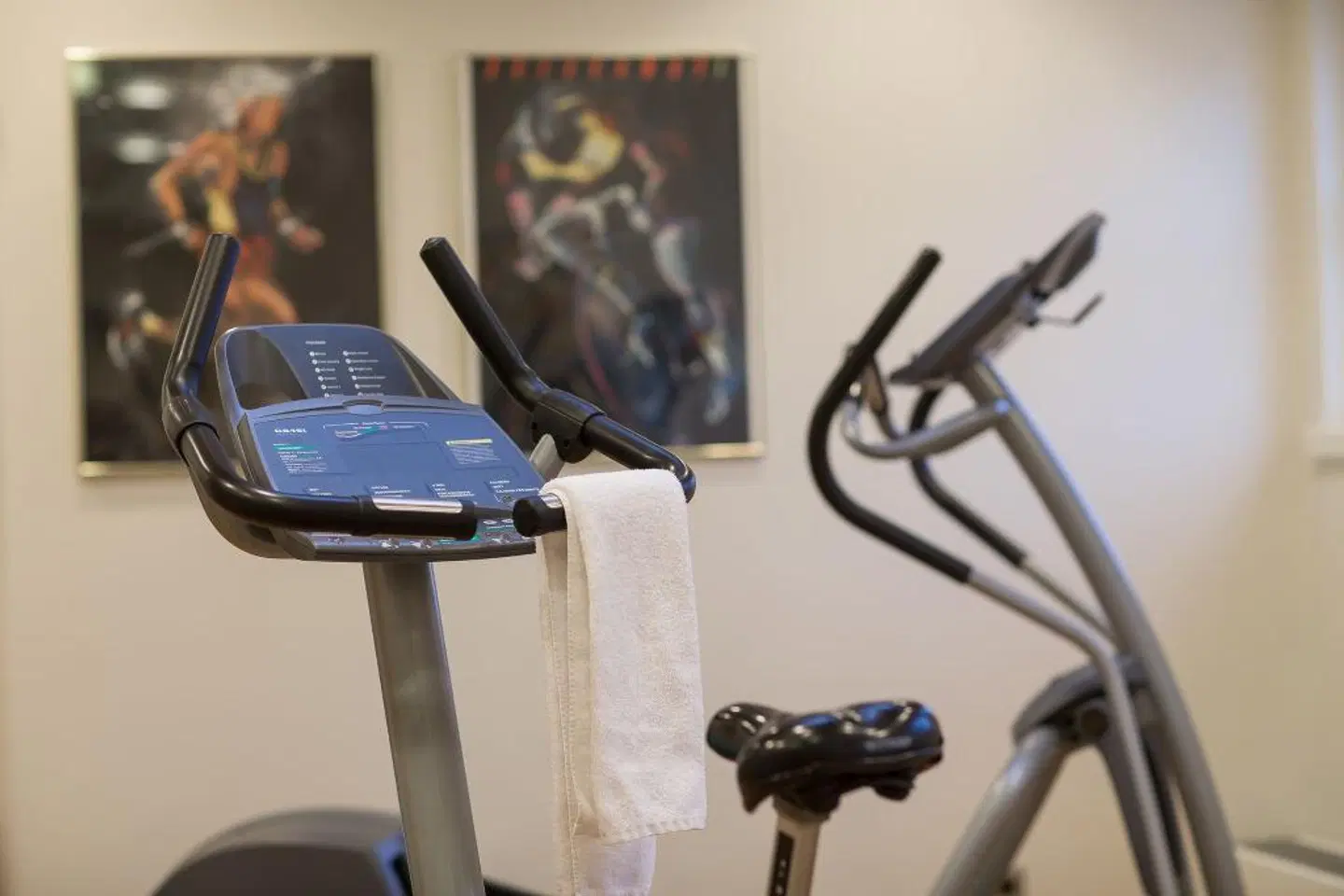 Seminaris Hotel Leipzig Tiere